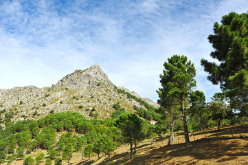 Fototapeta na wymiar Sierra de Grazalema natural park, Cadiz province, Spain
