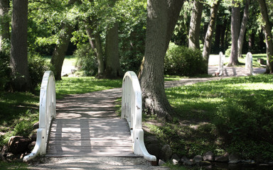 White Bridge In The Park
