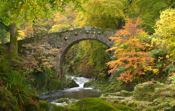Fototapeta Foley's Bridge