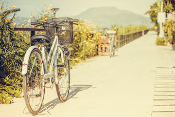 Bicycle park the way near cosmos flower.