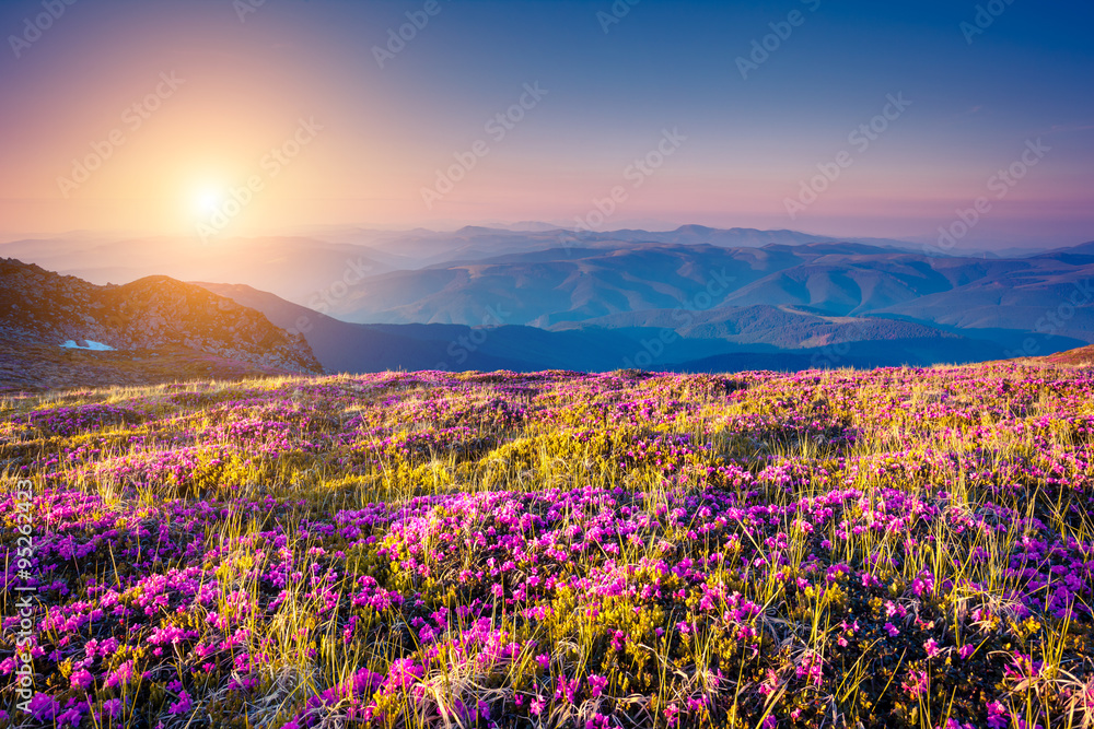 Sticker mountains landscape at sunset