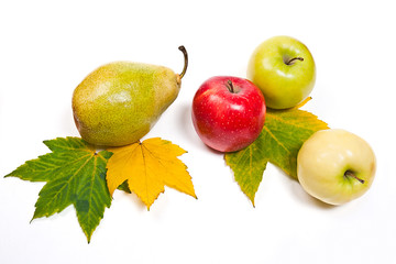 Group of ripe juicy fruit with yellow autumn leafs on white back