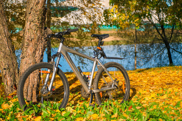 Fototapeta na wymiar bicycle is parked near the tree in autumn park on a sunny day