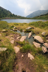 Fototapeta premium lago Colbricon (Trentino)