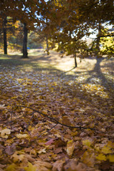 Clara Park an sonnigem Herbsttag in Leipzig