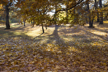 Clara Park an sonnigem Herbsttag in Leipzig