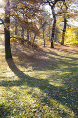 Clara Park an sonnigem Herbsttag in Leipzig
