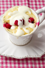 mug cake prepared in microwave