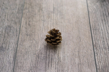 Single Pinecone