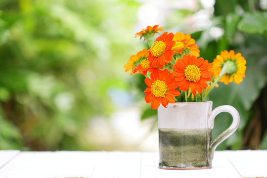 Fototapeta Zinnia flower in big mug