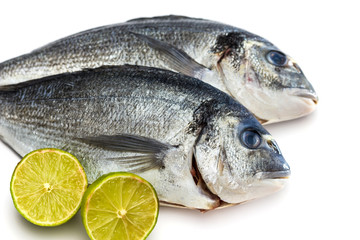 Bream fish with lime isolated on white background