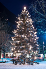 Grande albero di Natale illuminato nel parco in città alla sera