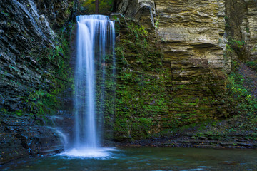 Flowing Forest Waterfall