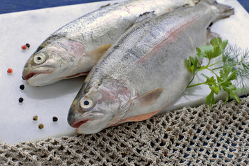 Trout on white marble  with pepper ,parsley with net 