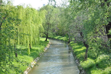 Obraz premium Yalova