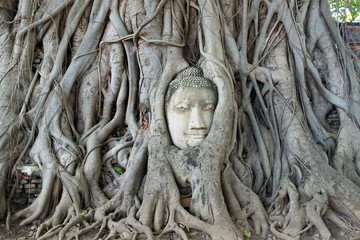 Buddha head in tree root, Ayutthaya