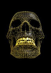 Skull with Gold mesh structure and Black polygonal surface - abstract illustration - work path saved within the file