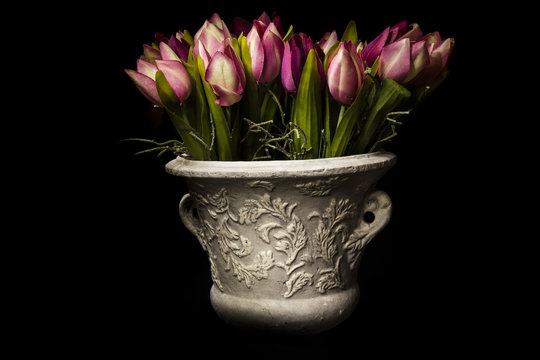 tulipani fiori vaso colorati