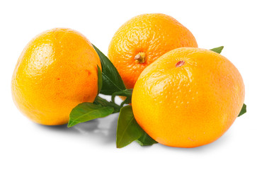 Three isolated tangerine