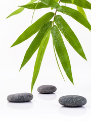 Obraz na płótnie Canvas The Stones spa treatment scene and bamboo leaves with raindrop z