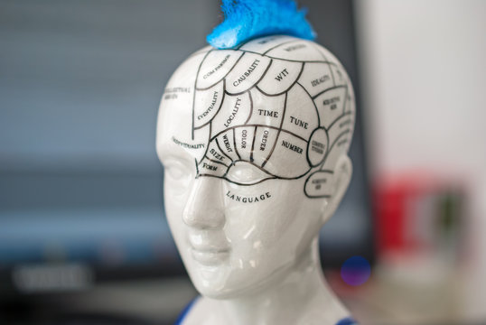 Parts of the human brain and the functions for each part. In the background there is a monitor and keyboard. Concept for brain functions and activity