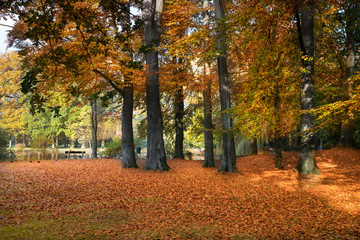 Fototapeta na wymiar Ein schöner Herbsttag