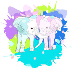 cute pair of elephants, illustration with splash watercolor textured background