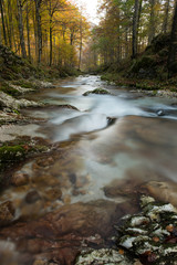 Sorgenti dell'Arzino