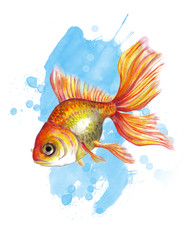 Золотая рыбка.Акварель.Авторский рисунок.  - 95286022