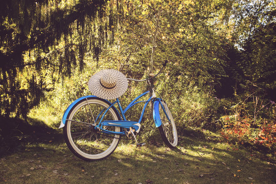 a classic baby blue cruiser bicylcle in a park along a treeline and sitting in the grass with a vintage tone instagram filter