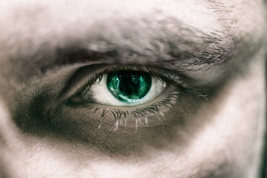 The eye with green iris