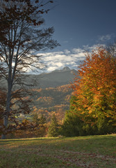 Fototapeta premium rilassanti panorami autunnali