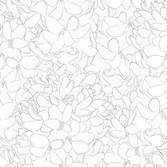 Beautiful monochrome black and white  seamless background with flowers.