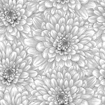 Beautiful monochrome, black and white seamless background with dahlia.