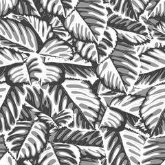 black and white seamless background with leaves