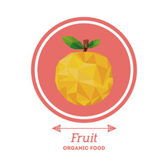 organic food design 