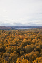 autumn season landscape,