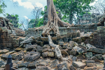 Fototapeta na wymiar Ruins of the ancient Khmer temple of Ta Prohm