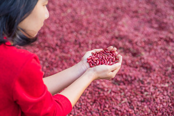 lady hold kidney beans in hand