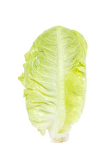 Baby Cos lettuce isolated on white.