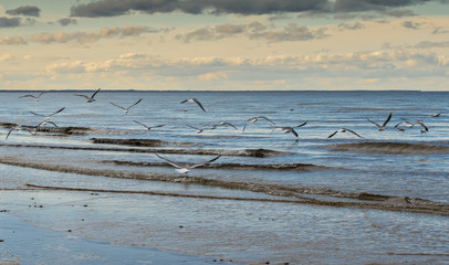 Coastal landscape, Baltic Sea, Europe