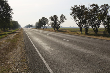 Fototapeta premium Asphalt road and roadside