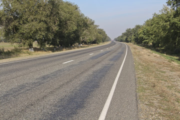 Asphalt road with trees both sides
