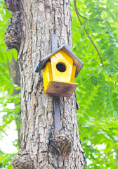 Colorful birdhouse made of wood up in a tree.