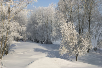 Winter landscape