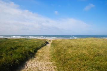 Fototapeta na wymiar Sand path leading to the North sea