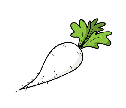 Radish Cartoon Stock Photos And Royalty Free Images Vectors And Illustrations Adobe Stock
