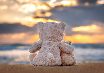 Friendship - two teddy bears holding in one's arms.