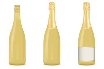 Champagne - bottle empty, full and with blank label.