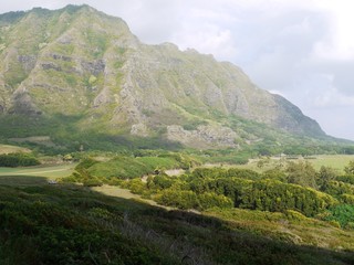 Naklejka premium ハワイ